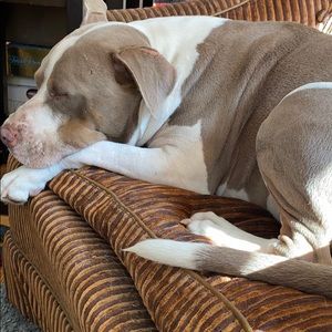 Meet your Posher, Robin